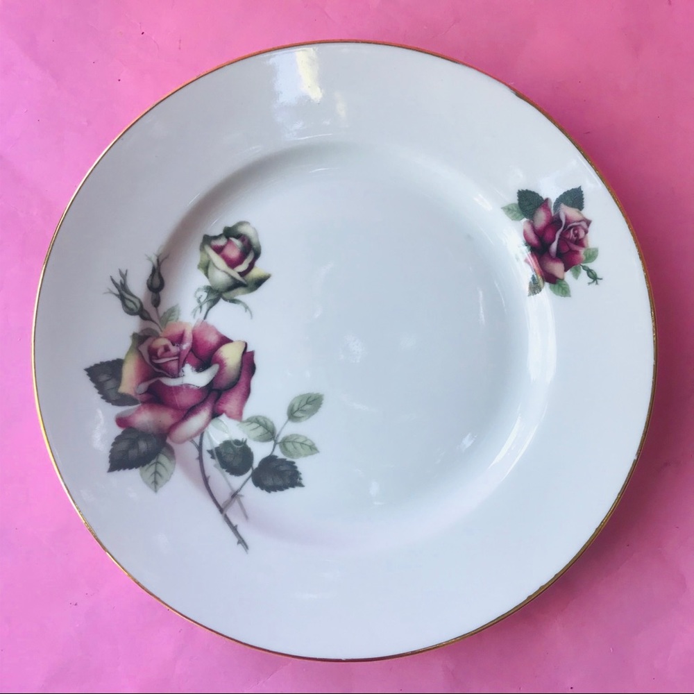 Antique porcelain Bohemia plate